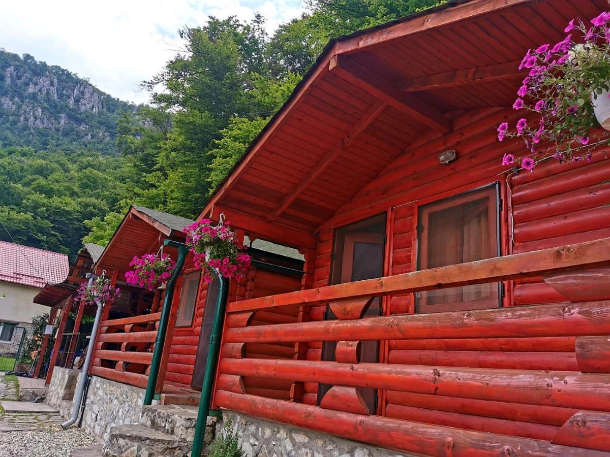 Villa Casa Beasarah. Dubova Esterno foto